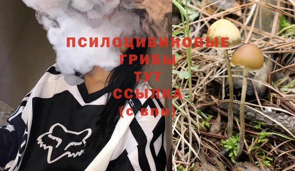 эйфоретик Армянск